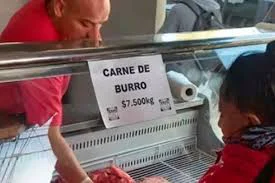 descarga (19)