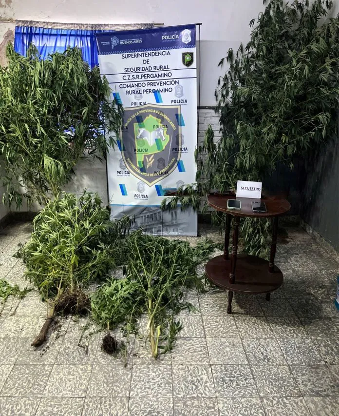 328dd47c-2541-4bf2-8eea-c3c7c077cd93-696x853