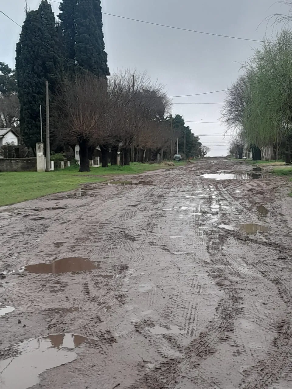 WhatsApp Image 2025-09-01 at 13.35.51