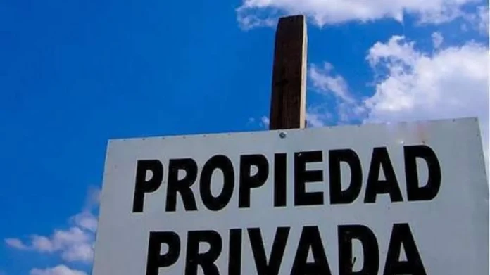 1689606035156-696x391