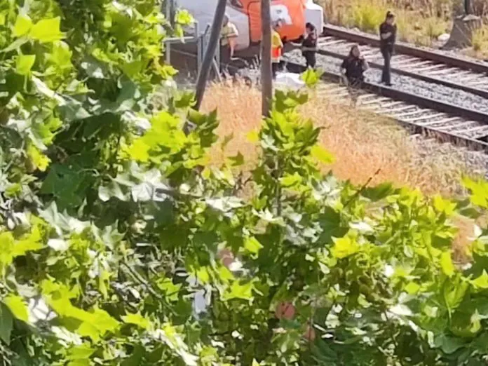 1003742671504_14828345_1706x1280-696x522