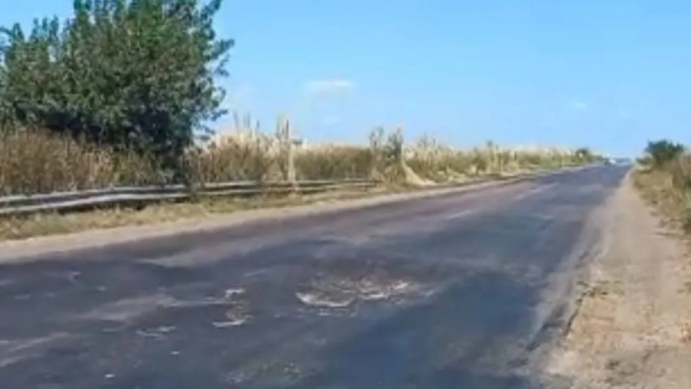 1747313653