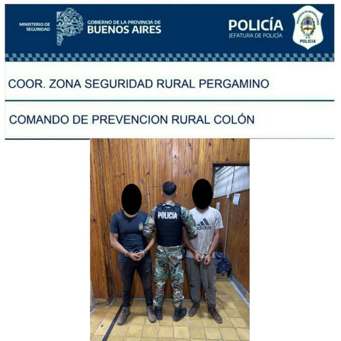 Colon-696x696